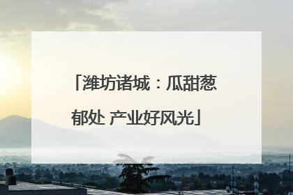 潍坊诸城：瓜甜葱郁处 产业好风光